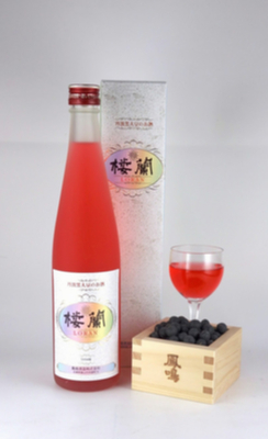 楼蘭（ローラン）500ml | 鳳鳴酒造